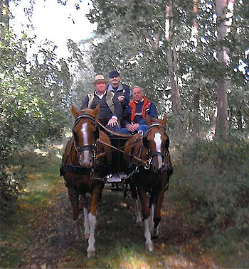 Gemütliche Kutschfahrt
